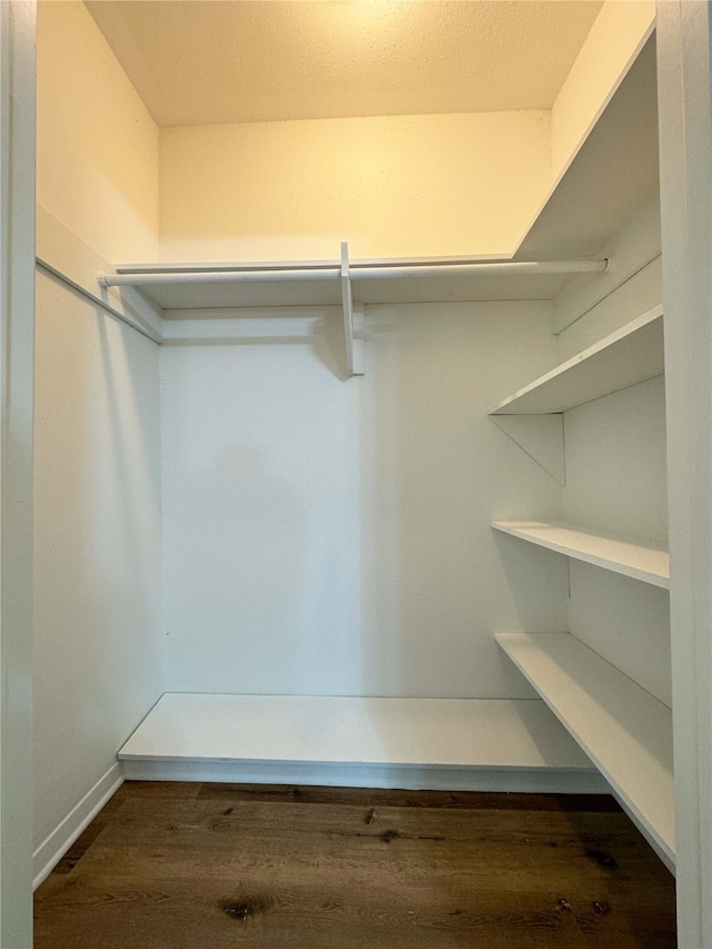 walk in closet with dark hardwood / wood-style flooring