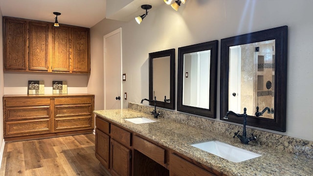 bathroom featuring hardwood / wood-style flooring and vanity