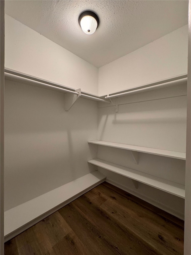 spacious closet featuring dark hardwood / wood-style flooring