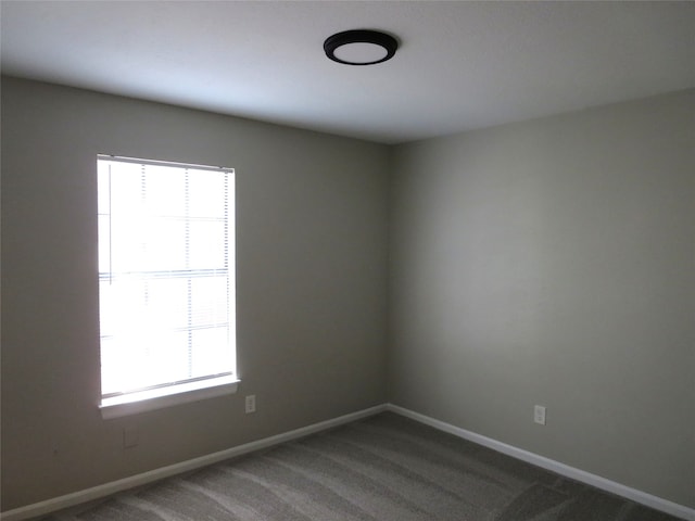 unfurnished room with a wealth of natural light and carpet flooring