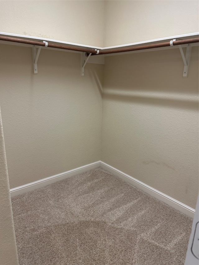 spacious closet with carpet