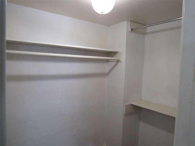 2110 Wilcrest Dr Unit 123, Houston, TX 77042 - view of walk in closet