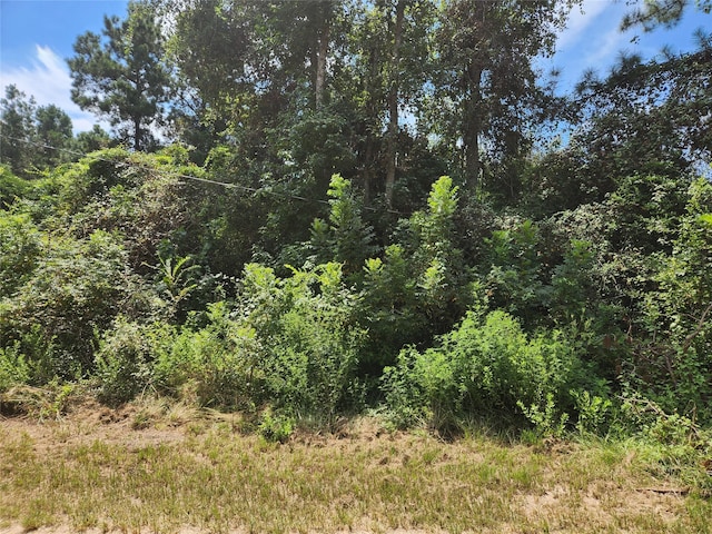 LOT26 Mayhaw Ln, Plantersville TX, 77363 land for sale