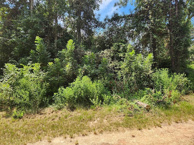 Listing photo 2 for LOT26 Mayhaw Ln, Plantersville TX 77363