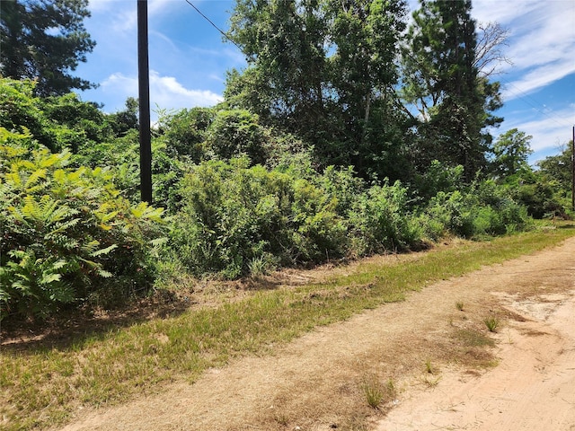 Listing photo 3 for LOT26 Mayhaw Ln, Plantersville TX 77363