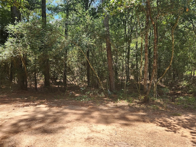 Listing photo 3 for LOT1 Sycamore Ln, Plantersville TX 77363