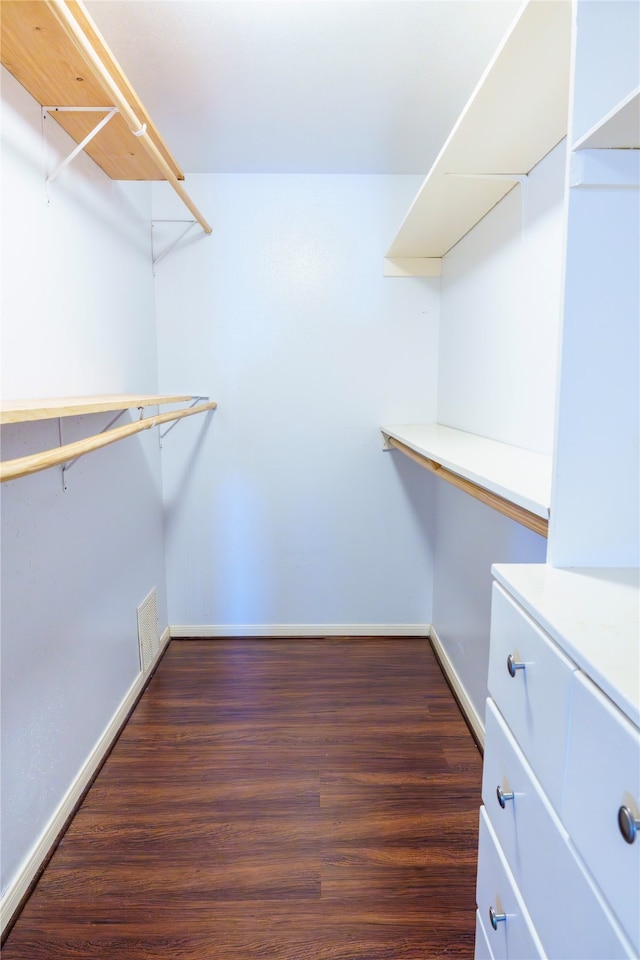 spacious closet featuring dark hardwood / wood-style flooring