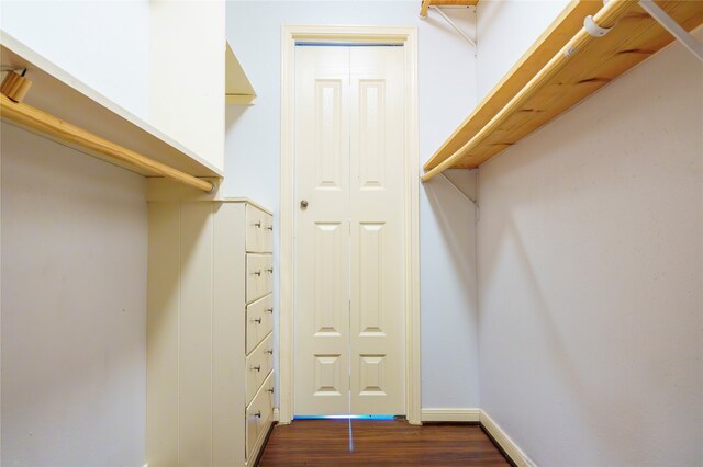 spacious closet with hardwood / wood-style floors