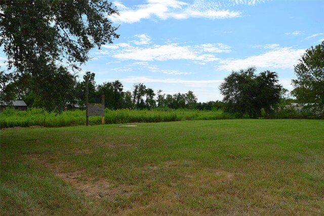 16622 Mclean Rd, Pearland, TX 77584 - photo 12