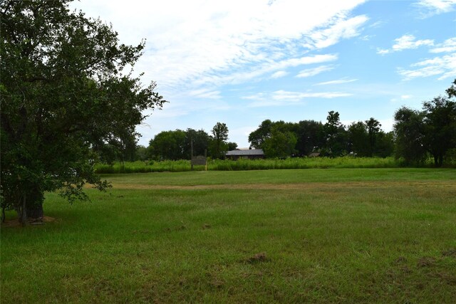 16622 Mclean Rd, Pearland, TX 77584 - photo 5