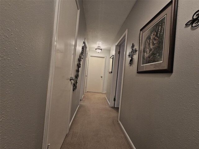 corridor featuring carpet floors