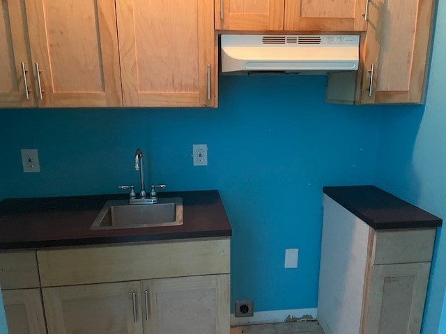 kitchen with ventilation hood and sink