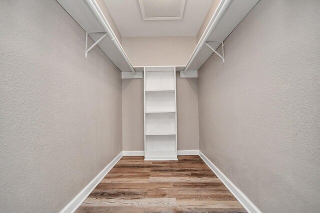 spacious closet with wood-type flooring