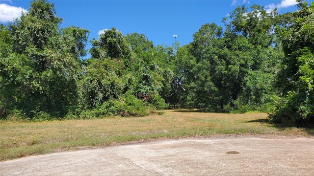 400 Horse Shoe Trl, Angleton TX, 77515 land for sale