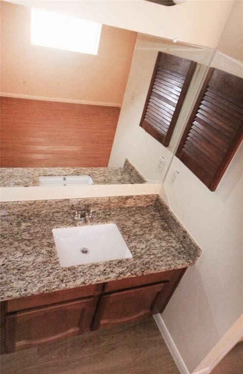 bathroom featuring wood-type flooring and vanity