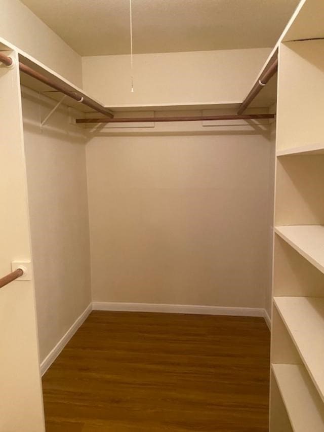 walk in closet with dark wood-type flooring