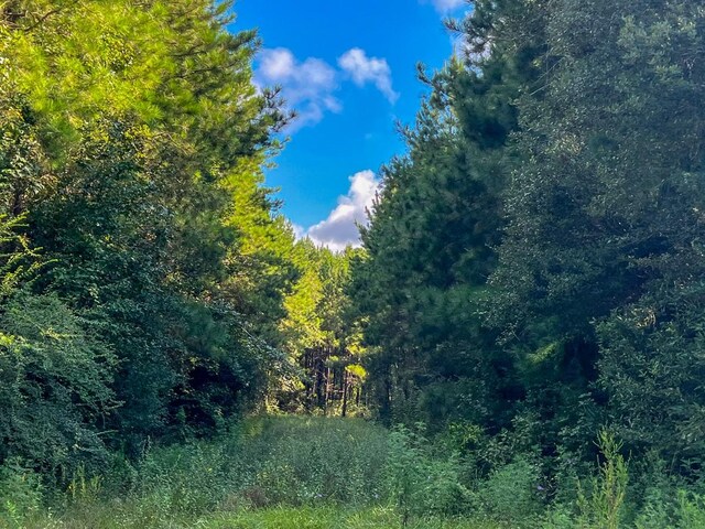 2 Fm 1013, Kirbyville, TX 75956