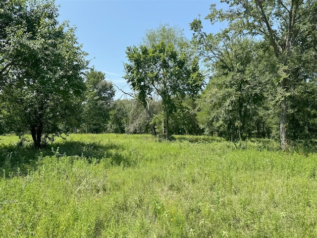 Listing photo 2 for TBD Wild Ridge Ln, Anderson TX 77830