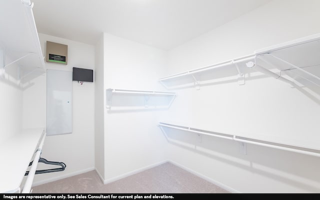 spacious closet with carpet floors