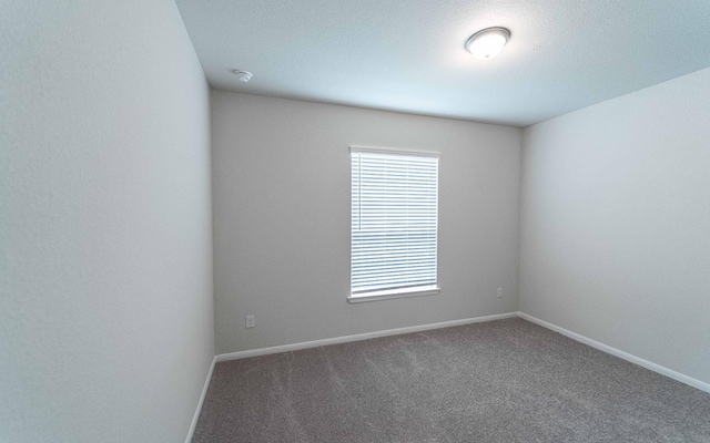 empty room featuring carpet flooring