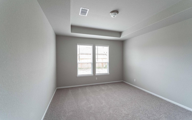 spare room featuring a raised ceiling and carpet floors