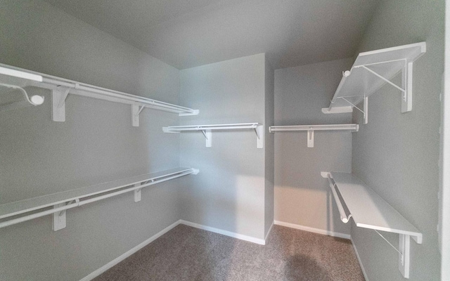 walk in closet with carpet floors