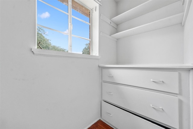 walk in closet with hardwood / wood-style floors