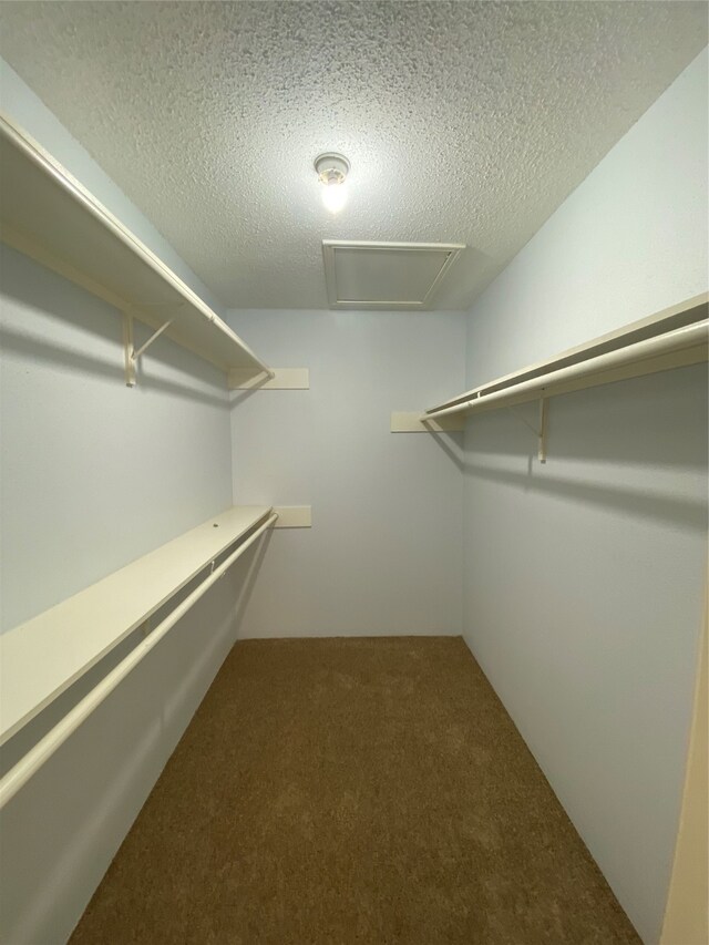 walk in closet with carpet