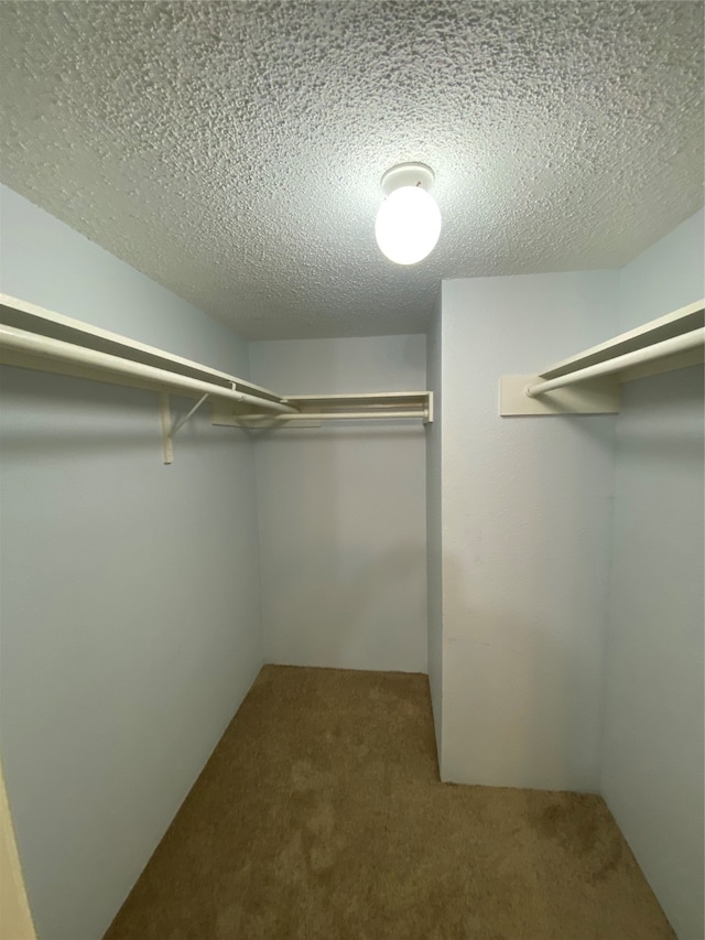 walk in closet featuring carpet flooring