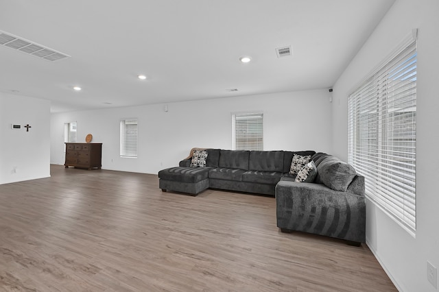 living room with light wood-type flooring and a healthy amount of sunlight