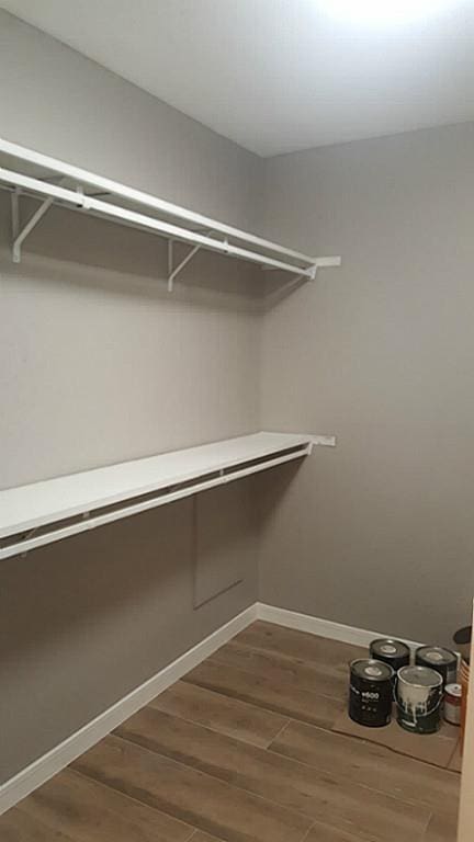 spacious closet featuring dark wood-style floors