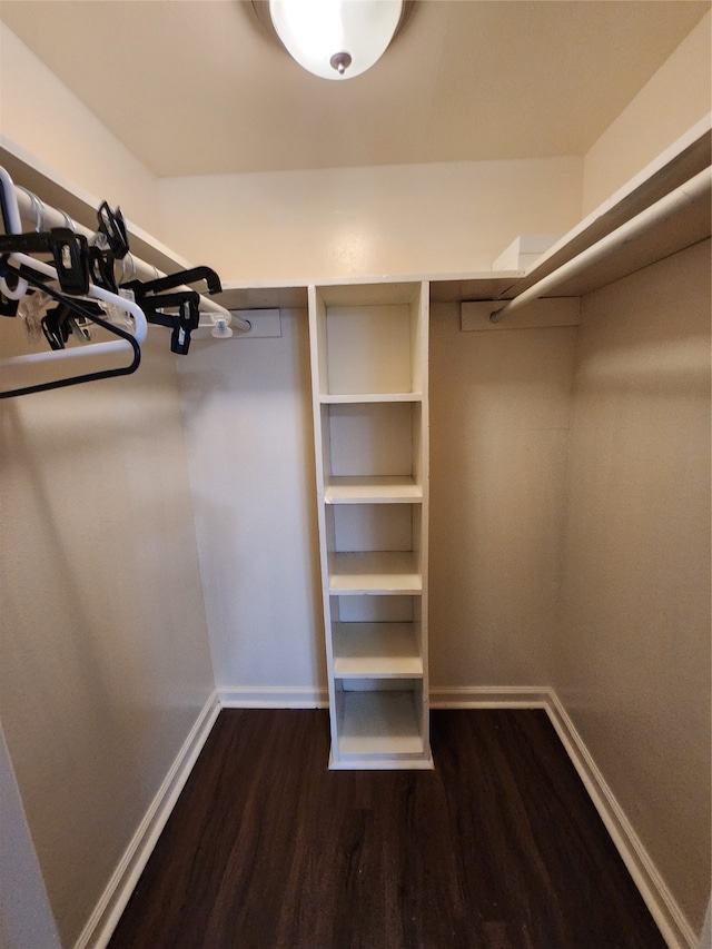 walk in closet with hardwood / wood-style flooring