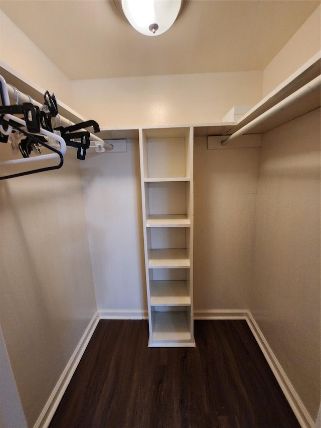 walk in closet featuring dark wood-style floors