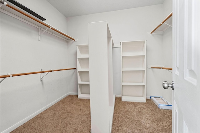 walk in closet featuring carpet flooring