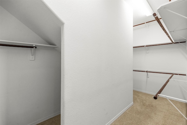 spacious closet with light carpet