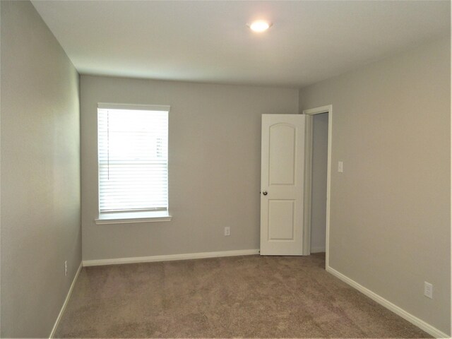 empty room featuring carpet flooring