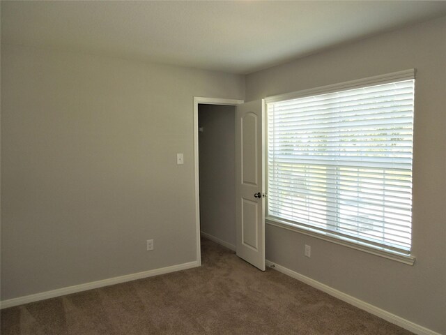 empty room featuring carpet