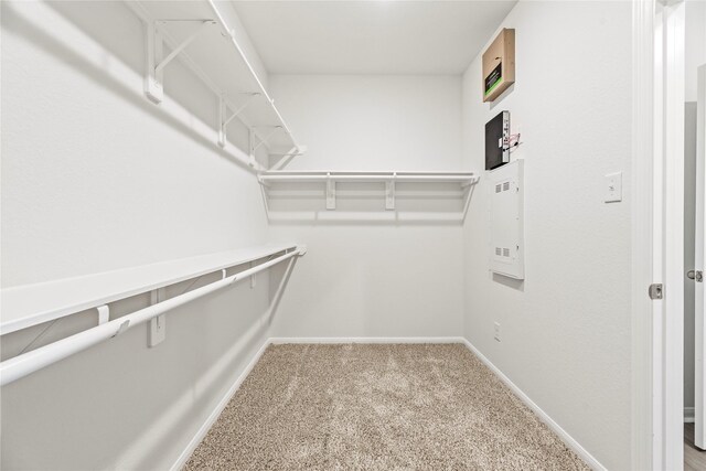 spacious closet with carpet floors