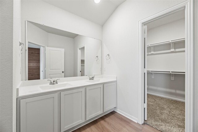 bathroom with a sink, a spacious closet, baseboards, and double vanity