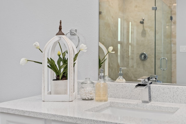 interior details with walk in shower and vanity