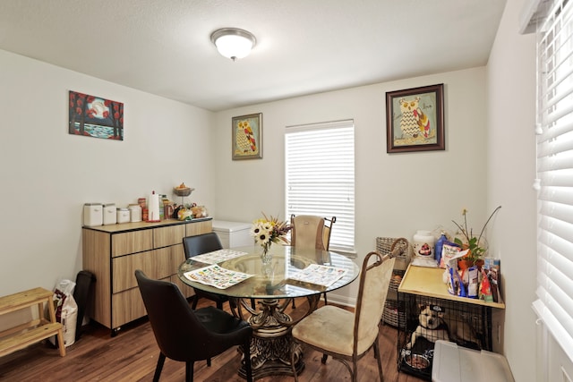 dining space featuring hardwood / wood-style floors