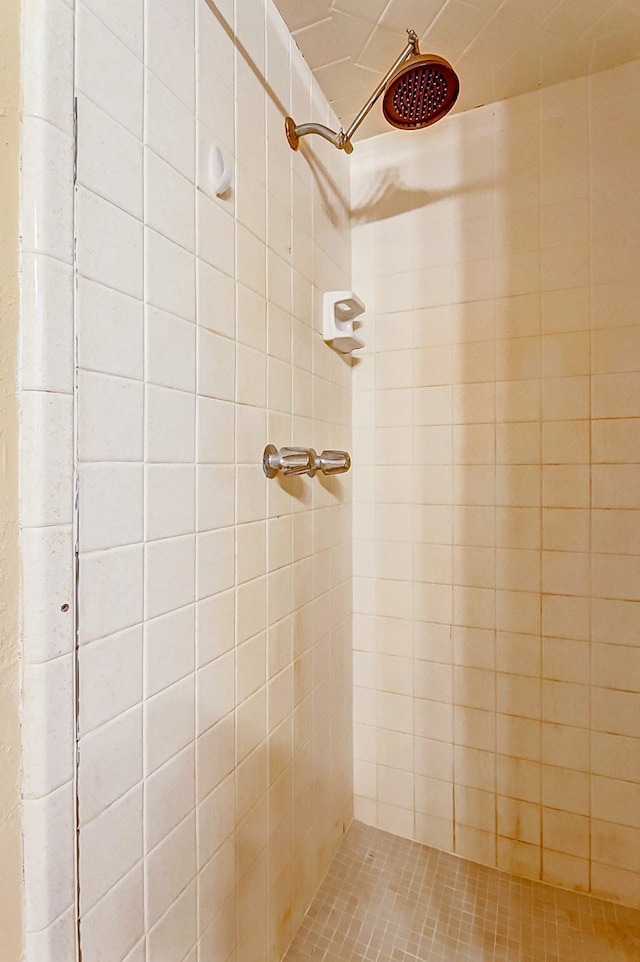 bathroom featuring a tile shower