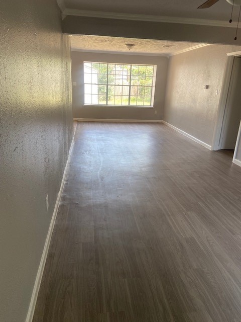 spare room featuring ceiling fan, hardwood / wood-style flooring, and ornamental molding