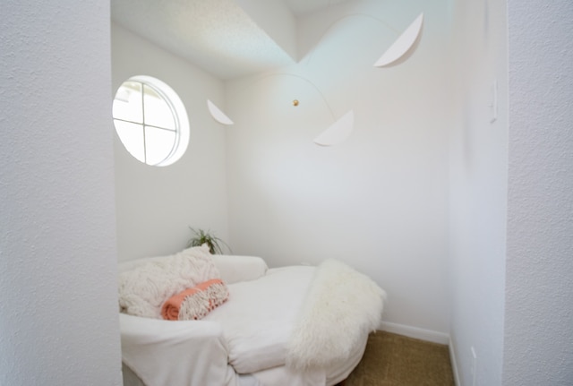 sitting room featuring carpet floors