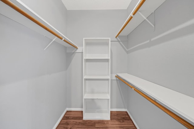 walk in closet with hardwood / wood-style flooring