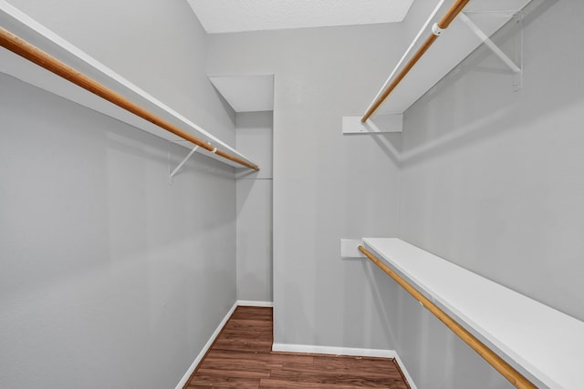 walk in closet featuring hardwood / wood-style floors