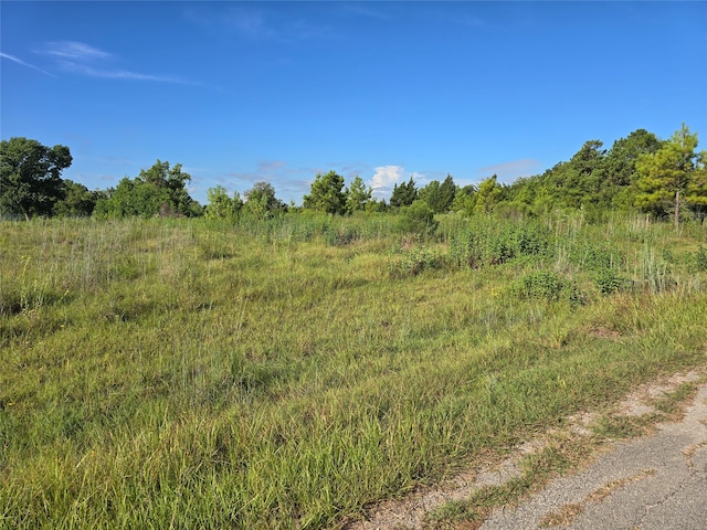 Listing photo 3 for LOT9 Lewis Creek Cir, Willis TX 77318