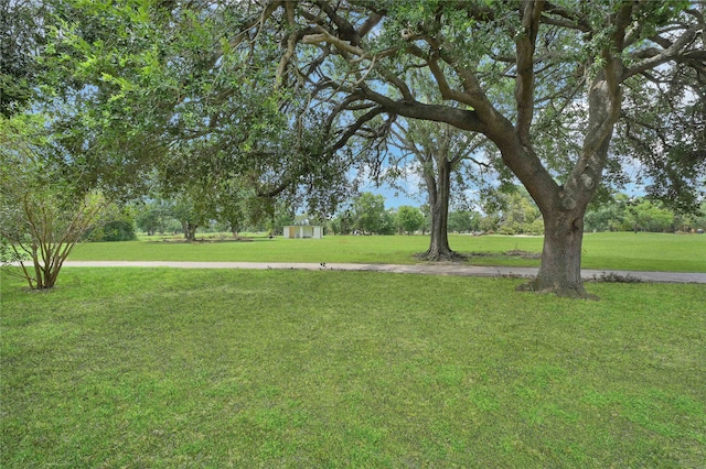 view of community featuring a yard