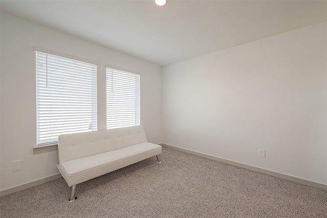 sitting room with carpet floors