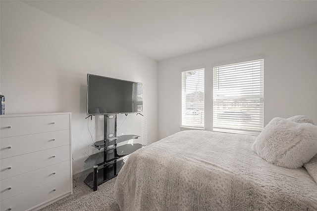 bedroom featuring carpet